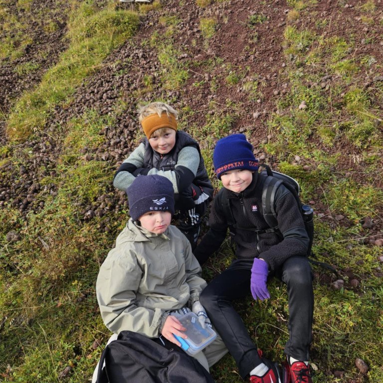 4748756f-228a-4f10-82da-491d891b1f81