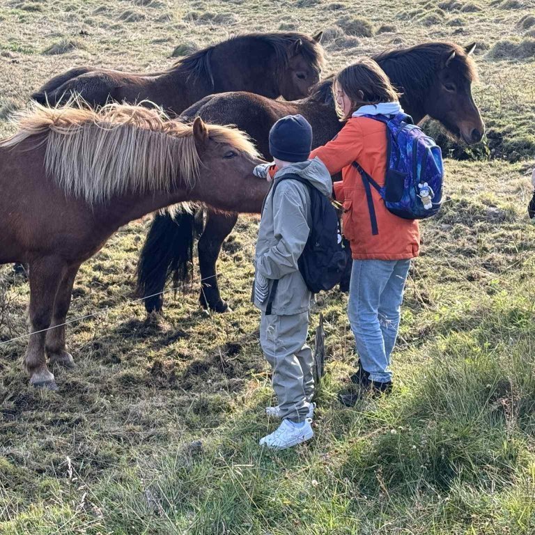 4eb54775-0c83-4b01-a4f5-0896328f60c8-1