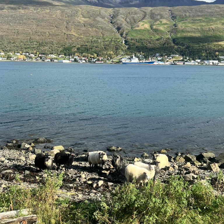 a66110ac-7098-41ca-aad8-e13b1dc437aa