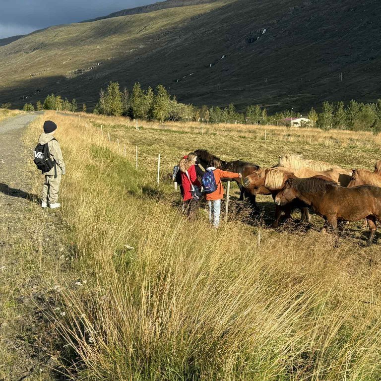 c47e2572-cfe9-4103-9406-63882c3322bf-1