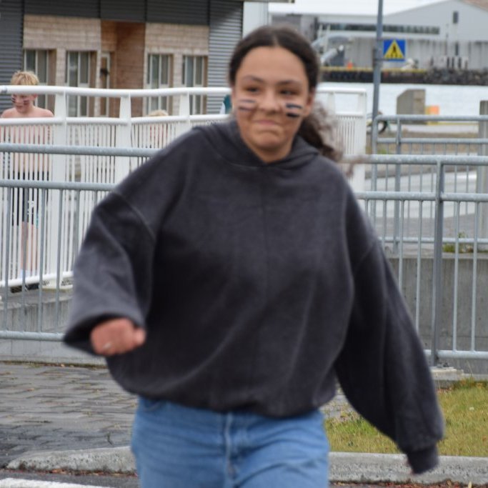 skolahringur-21026114