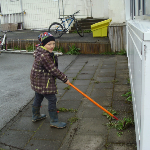 Vorhreinsun 2018