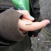 Texti með fréttamynd