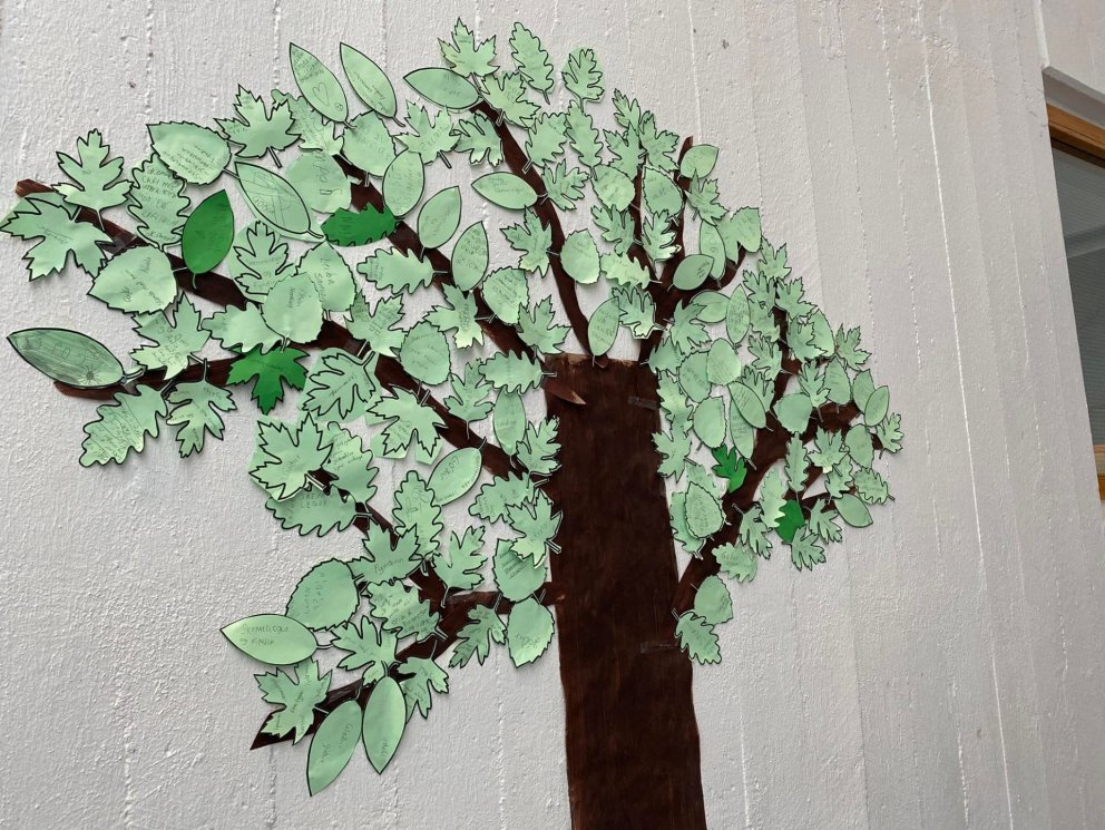 Baráttudagur gegn einelti