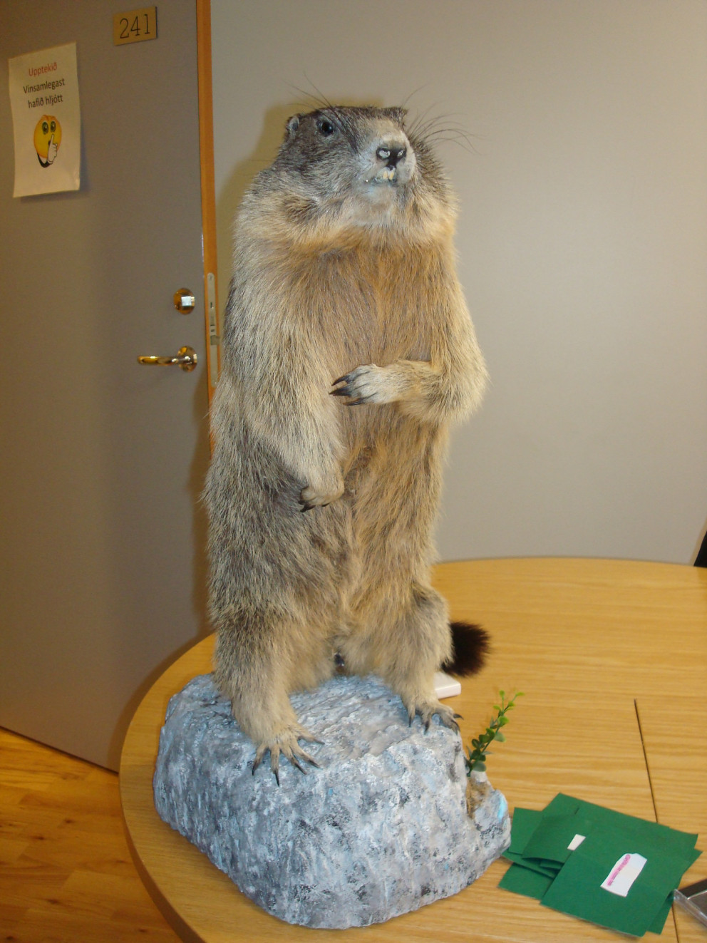 Góð gjöf sem barst skólanum