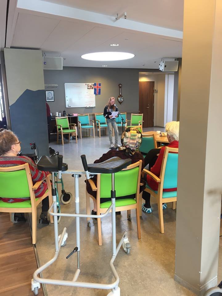 Ungur nemur gamall temur