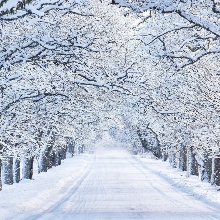 Skólahald mánudaginn 26.september