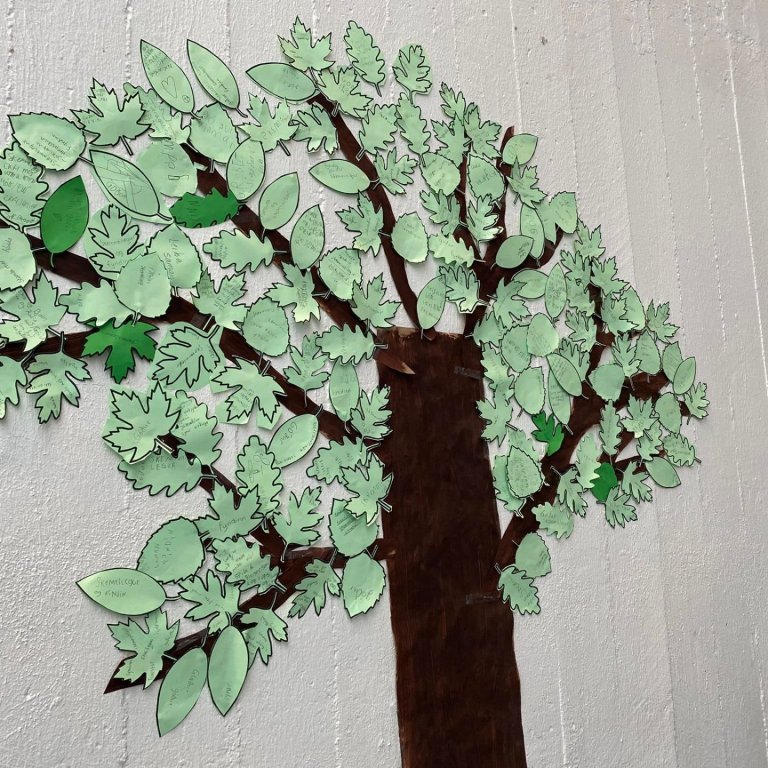 Baráttudagur gegn einelti