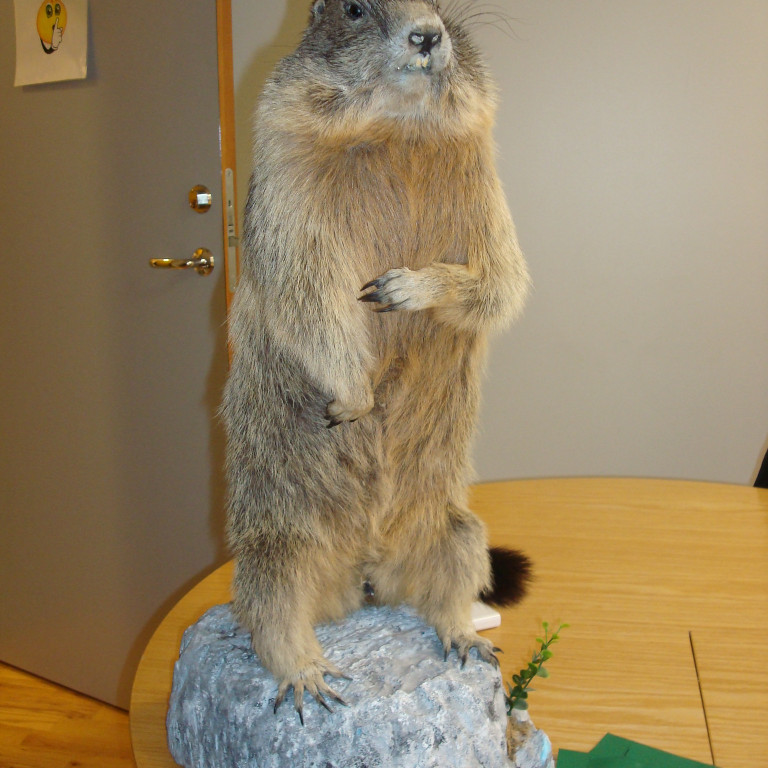 Góð gjöf sem barst skólanum